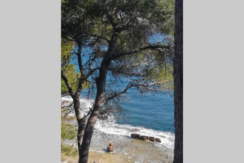 El Poblet 36 Villa Denia Dış mekan fotoğraf