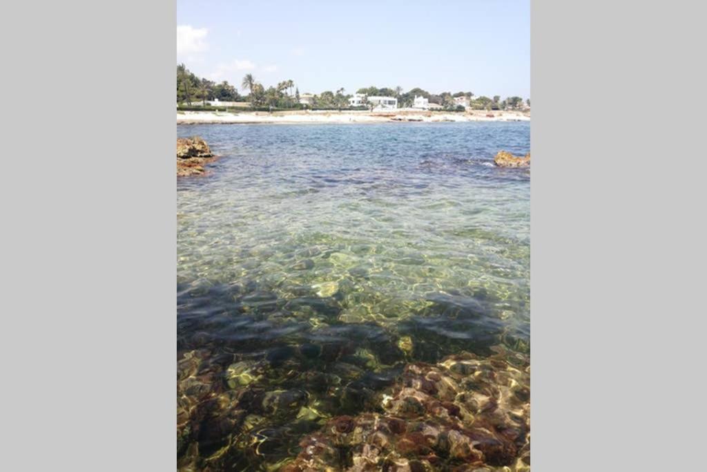 El Poblet 36 Villa Denia Dış mekan fotoğraf